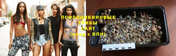 спиды Белокуриха