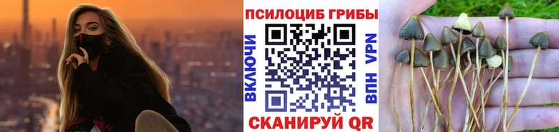 ОМГ ОМГ ссылка  Горняк  Галлюциногенные грибы Psilocybe 